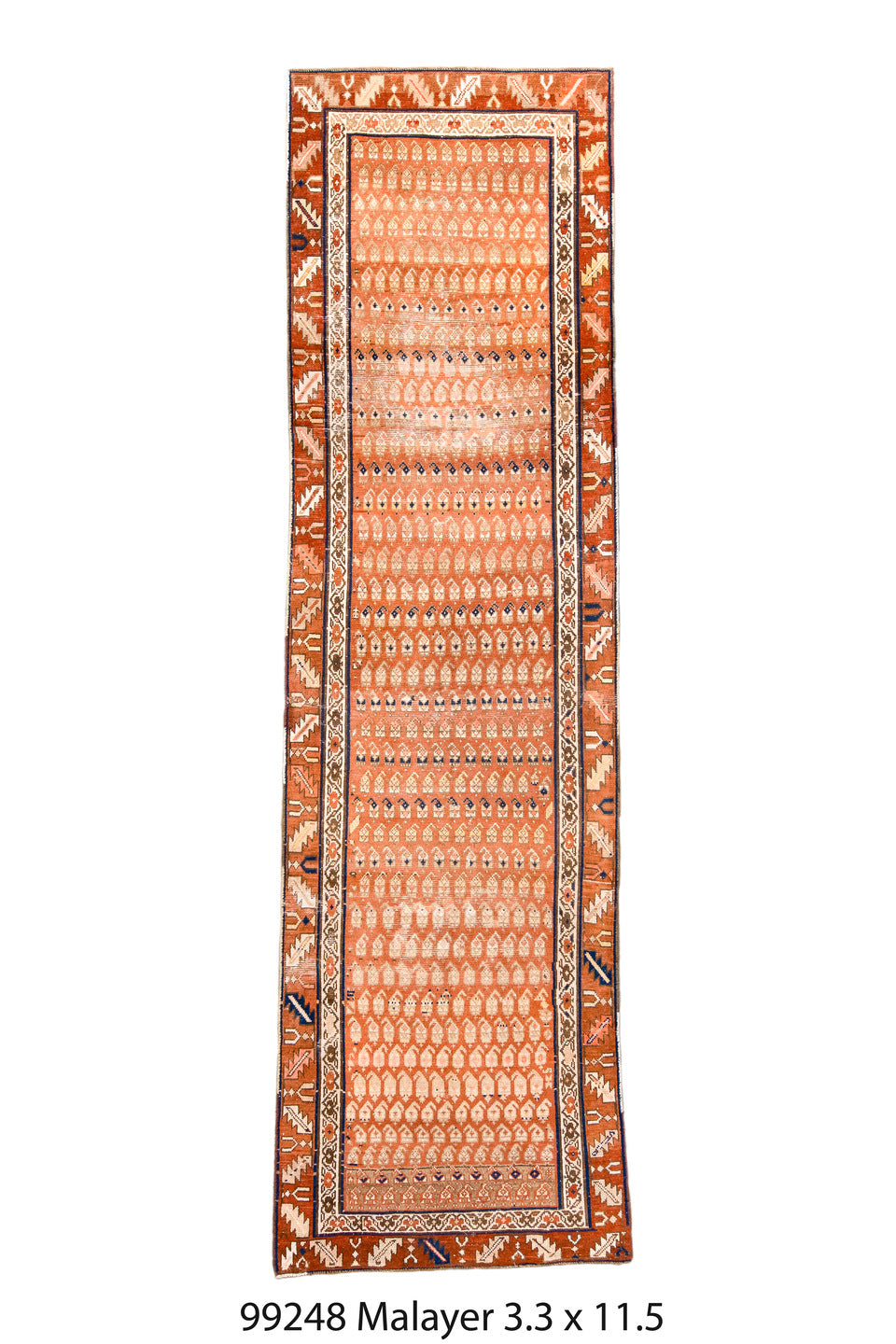 099248 Rug