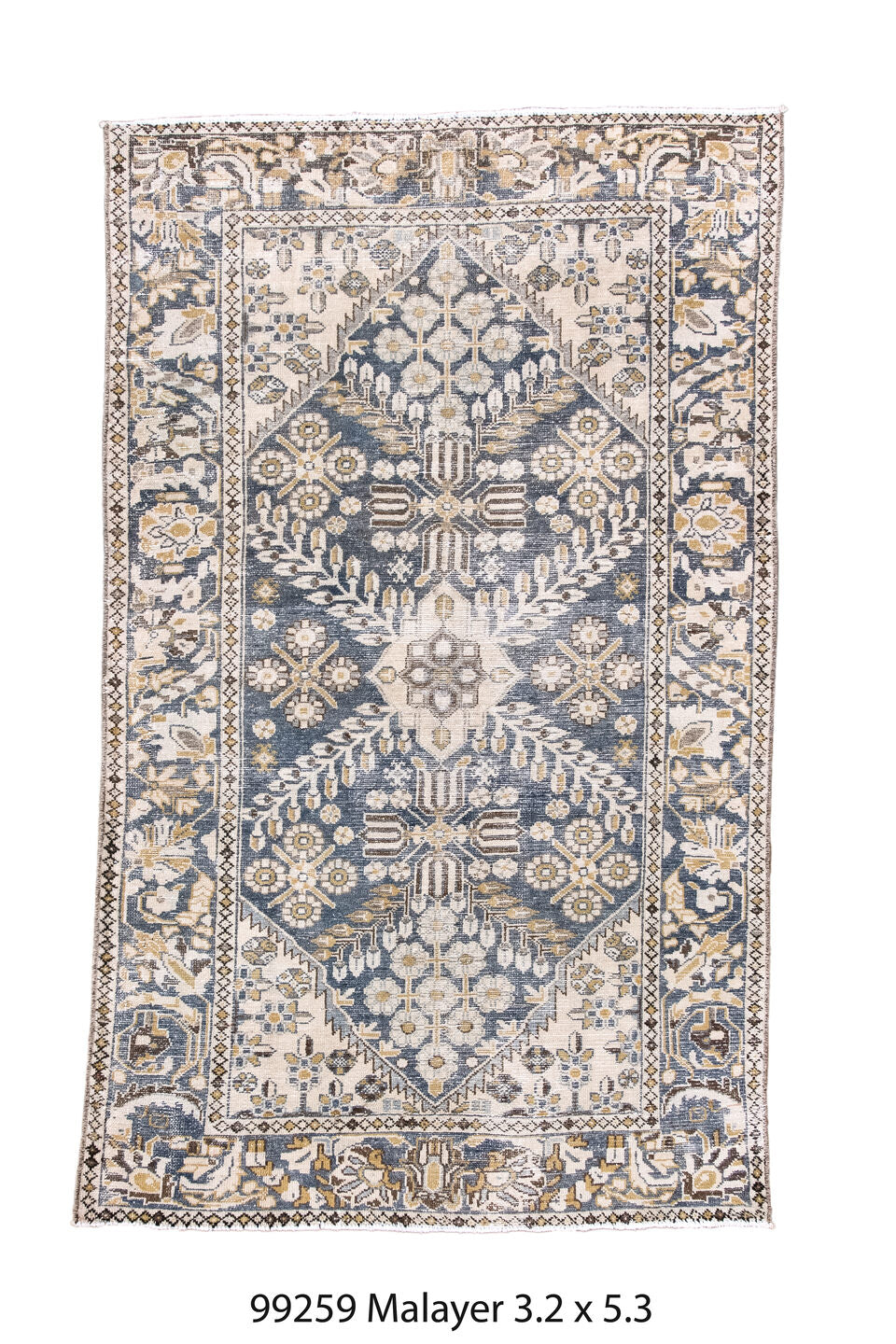 099259 Rug
