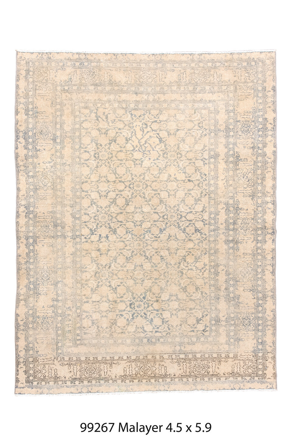099267 Rug
