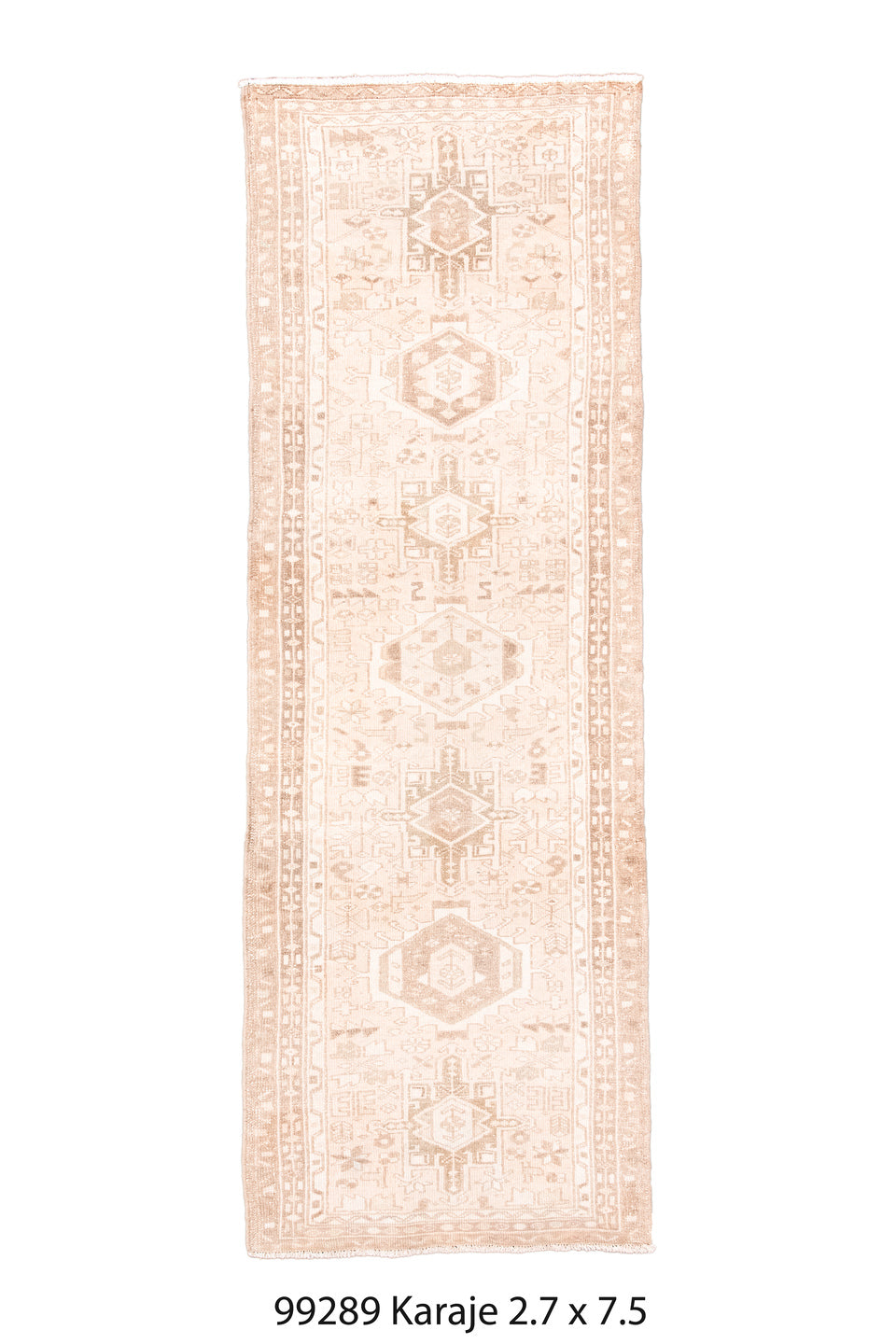 099289 Rug
