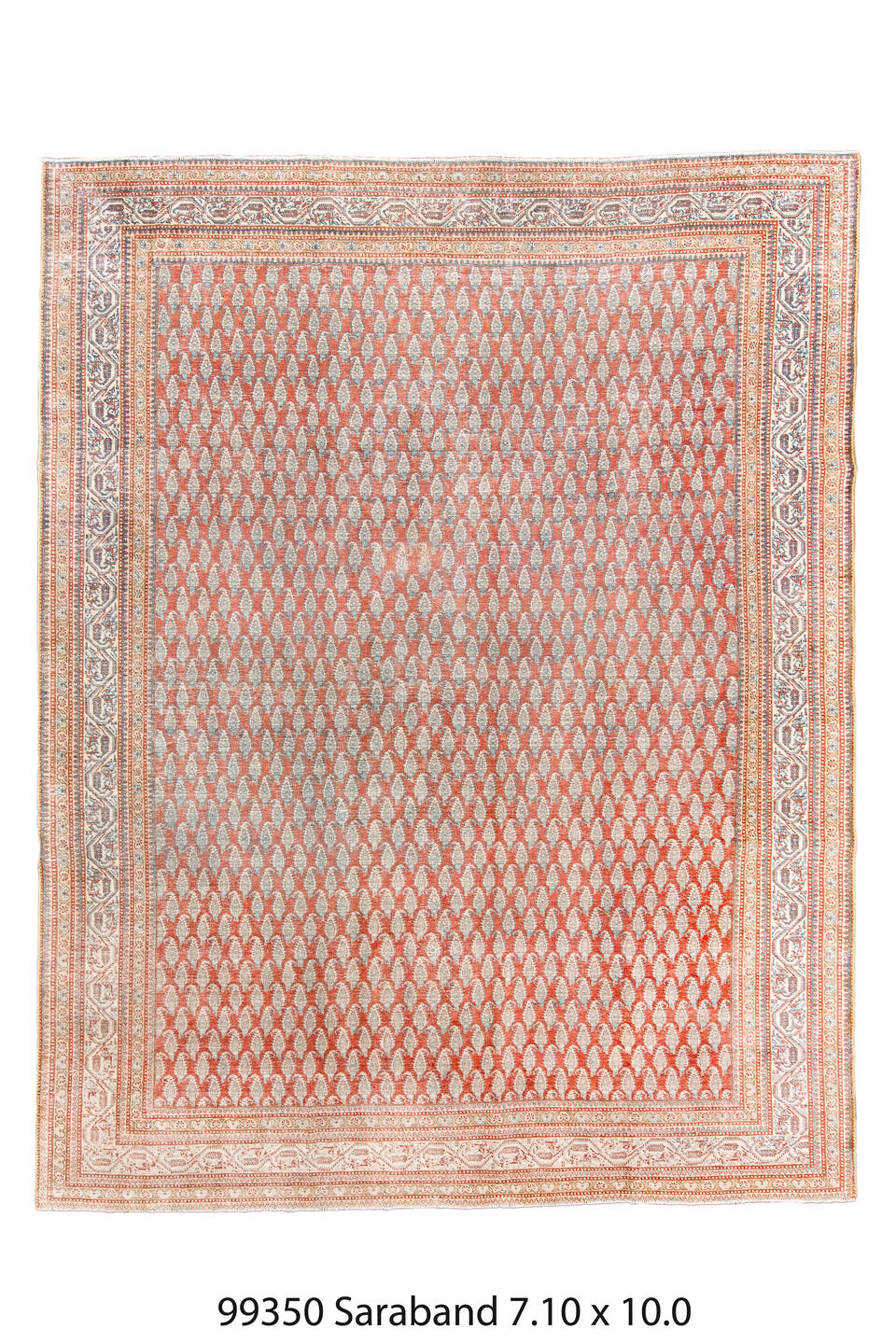 099350 Rug