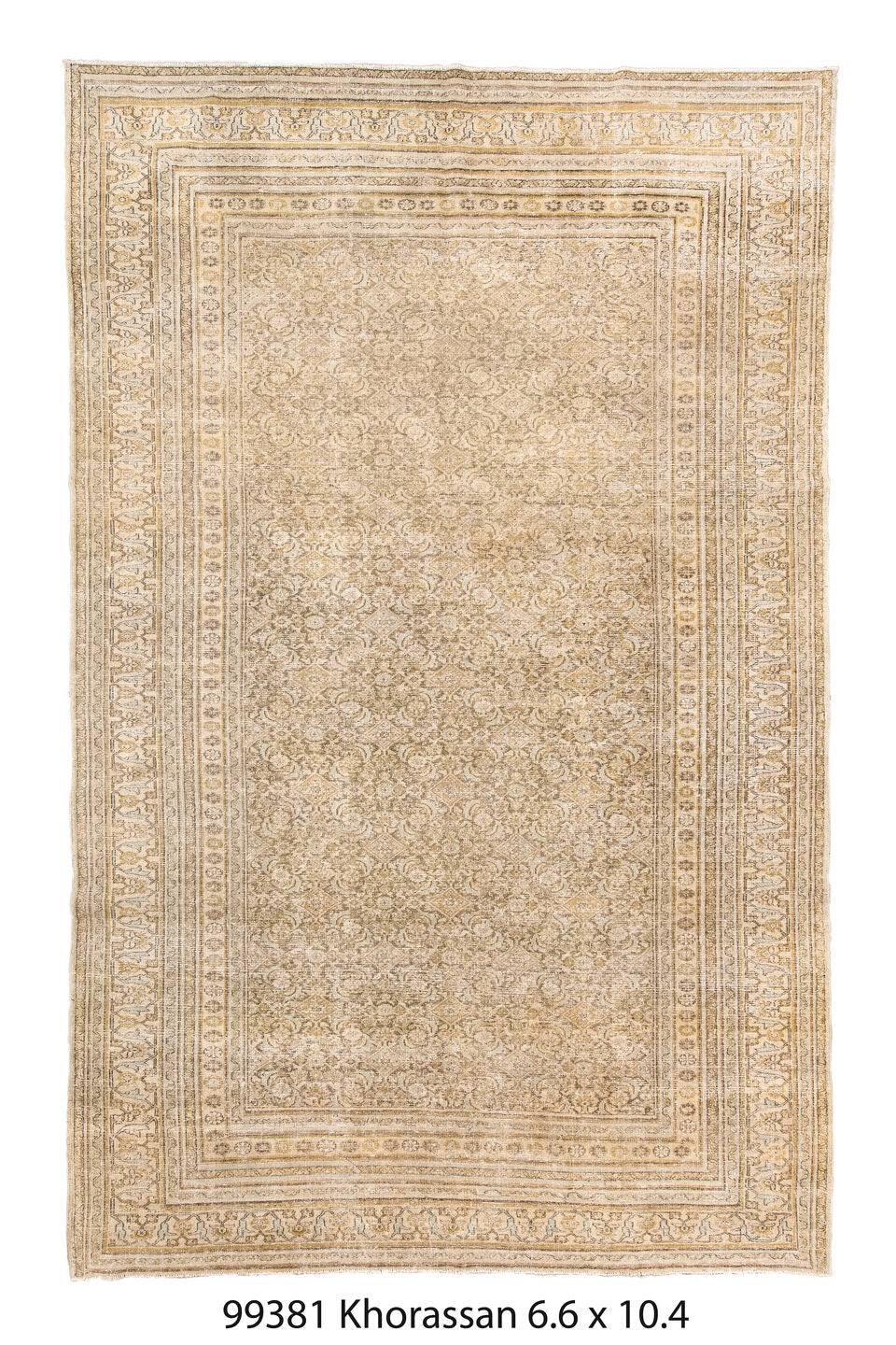 099381 Rug