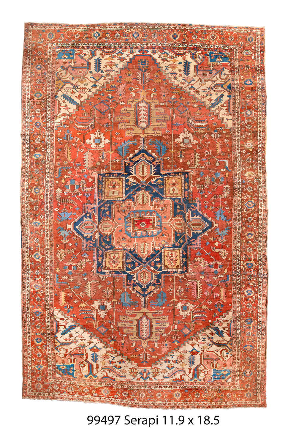 099497 Rug
