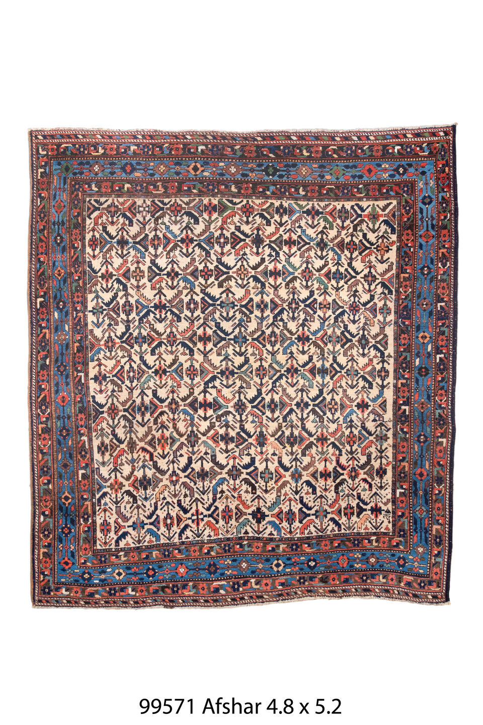 099571 Rug