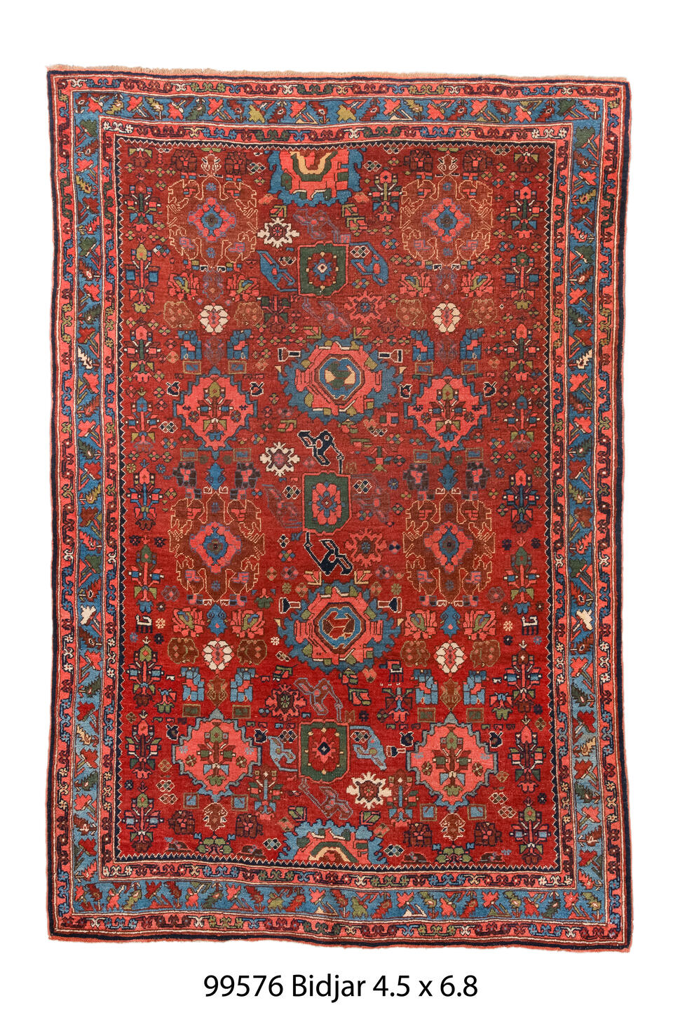 099576 Rug