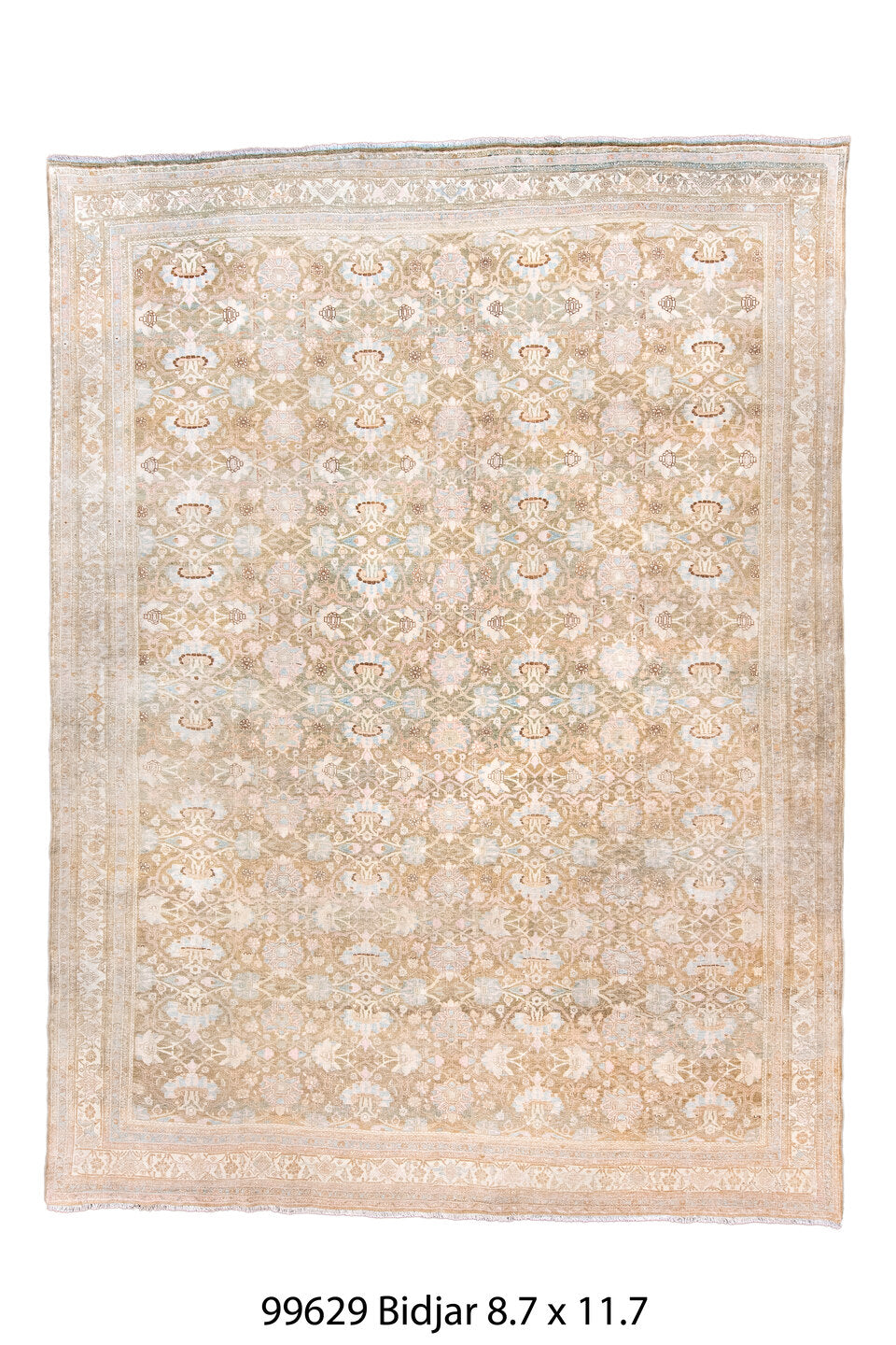099629 Rug