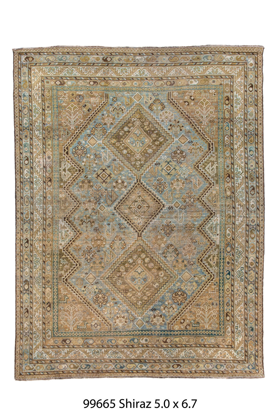 099665 Rug