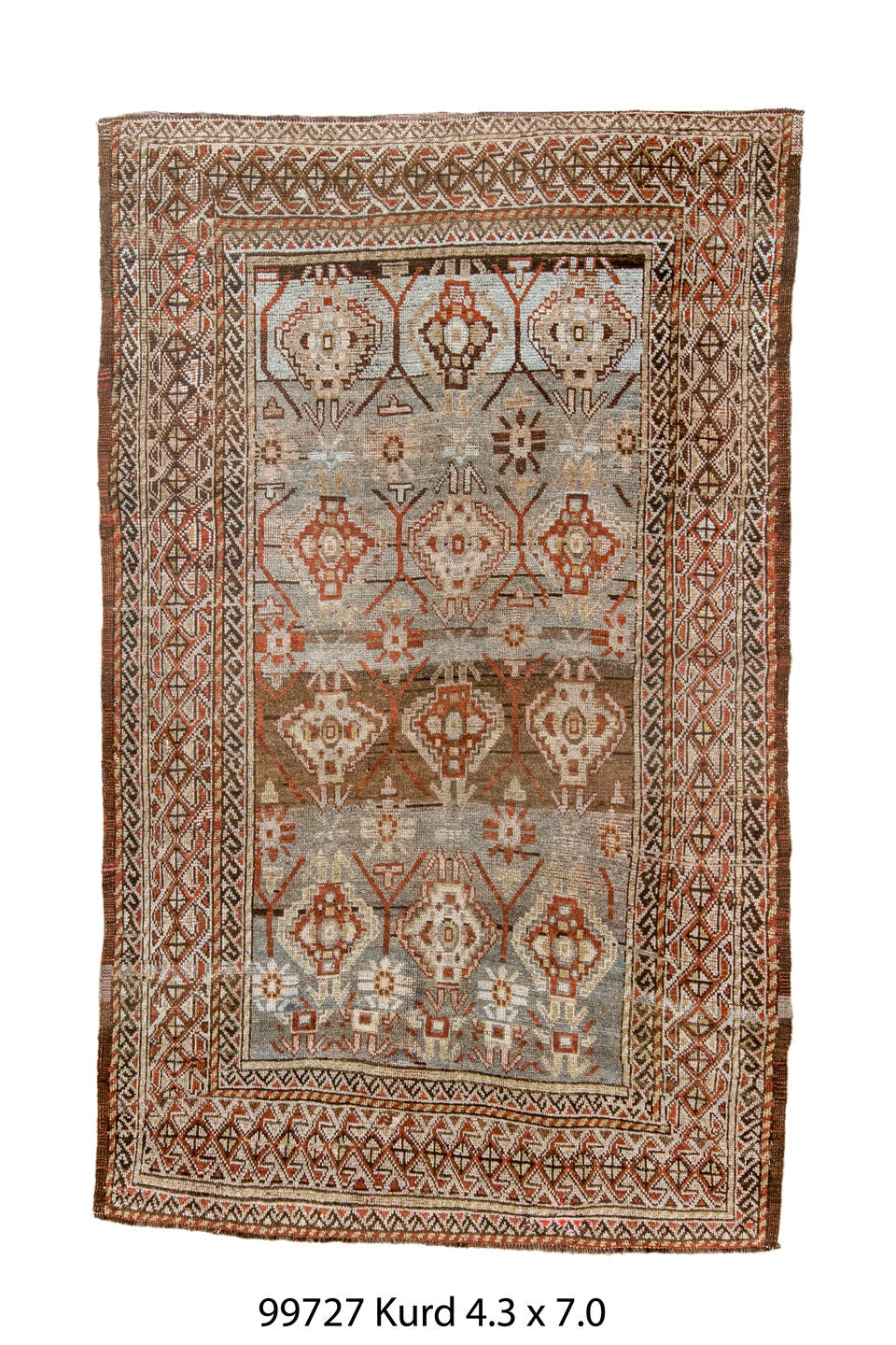 099727 Rug