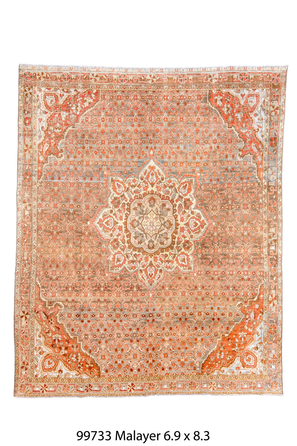 099733 Rug