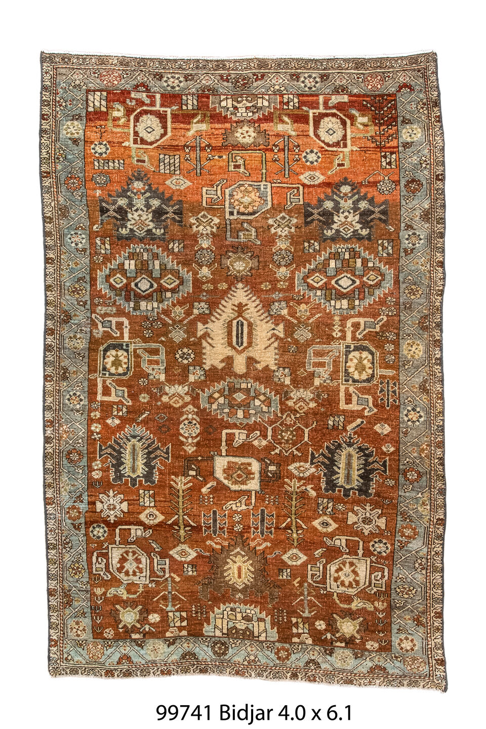 099741 Rug