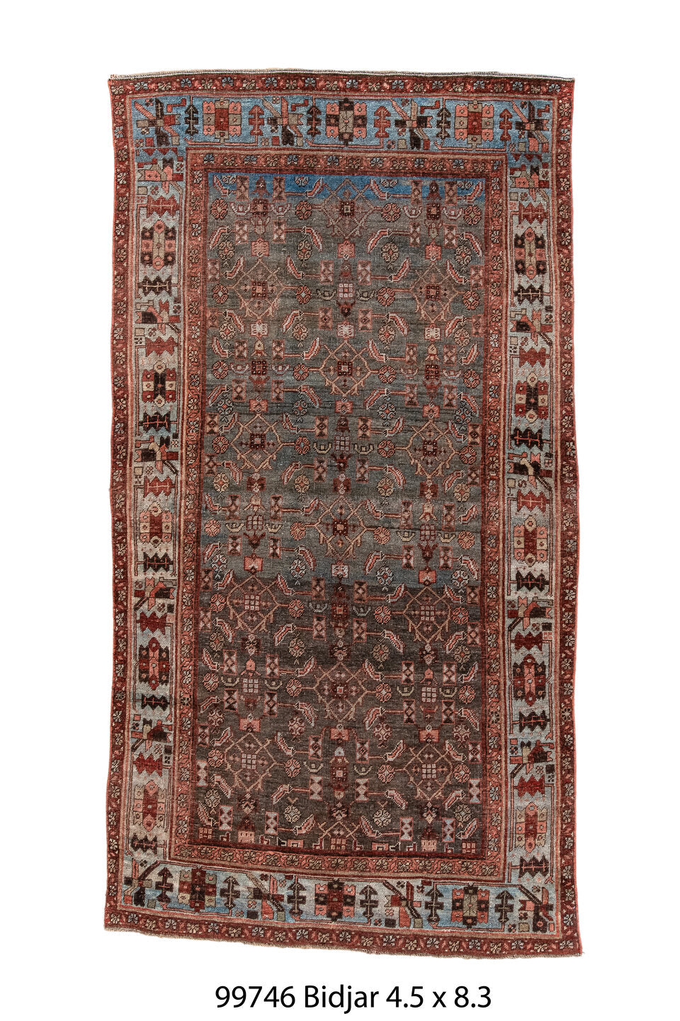 099746 Rug