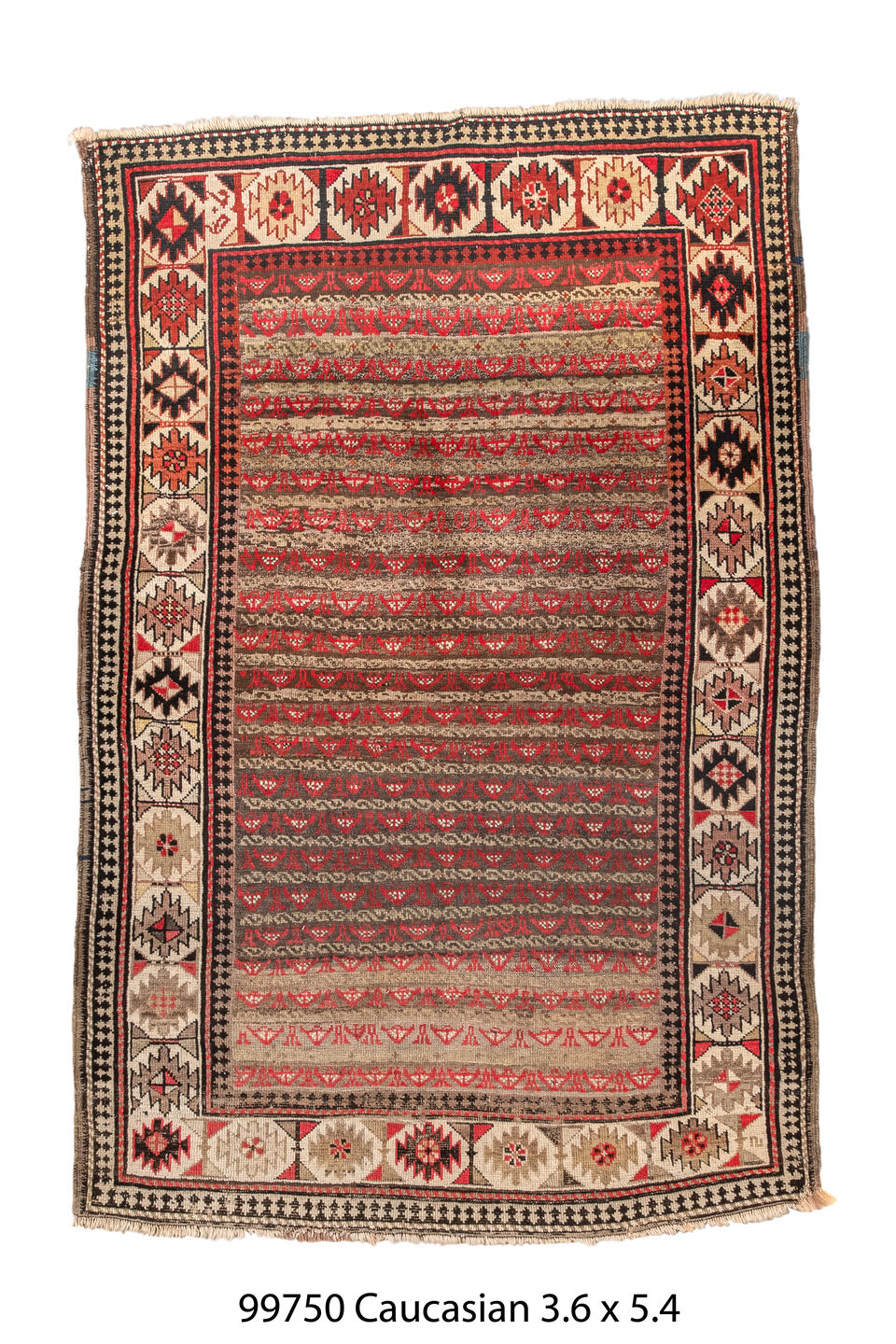 099750 Rug