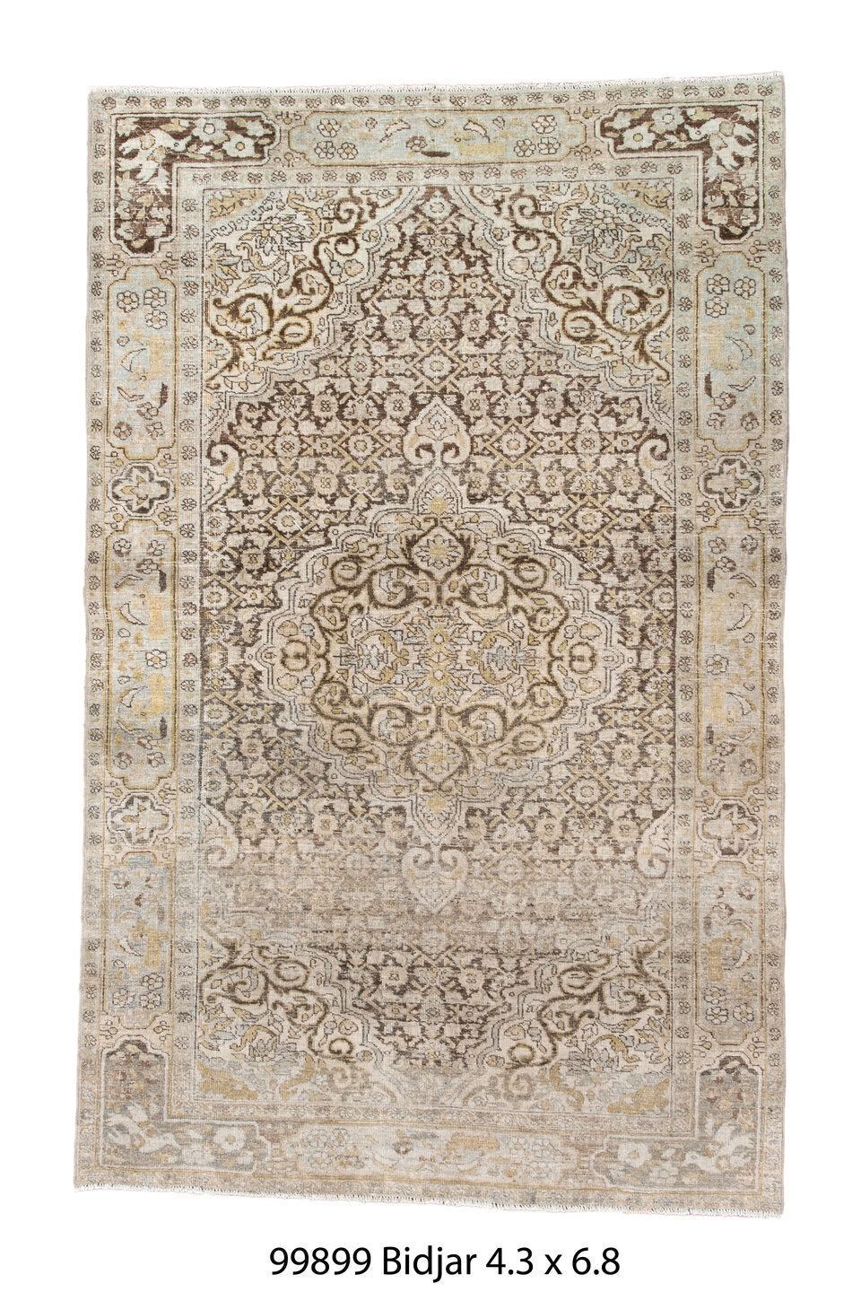 099899 Rug