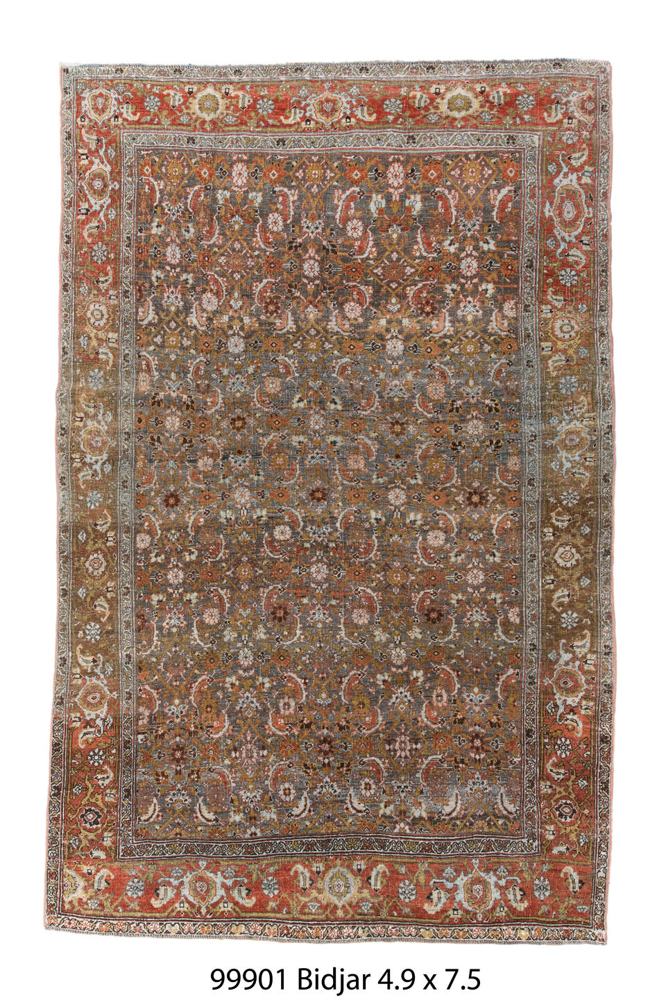 099901 Rug