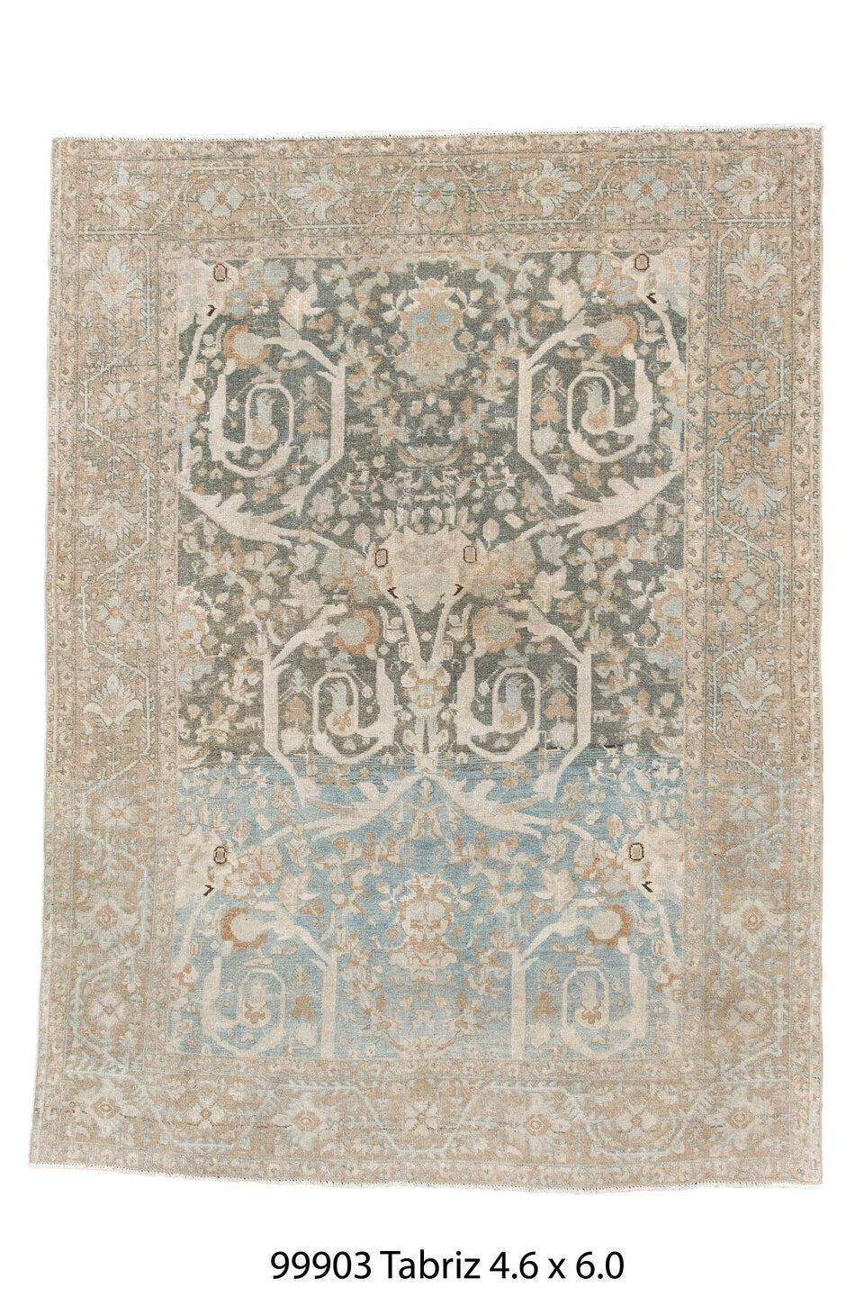 099903 Rug