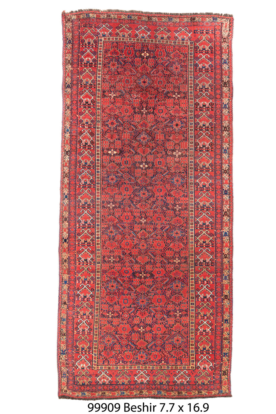 099909 Rug