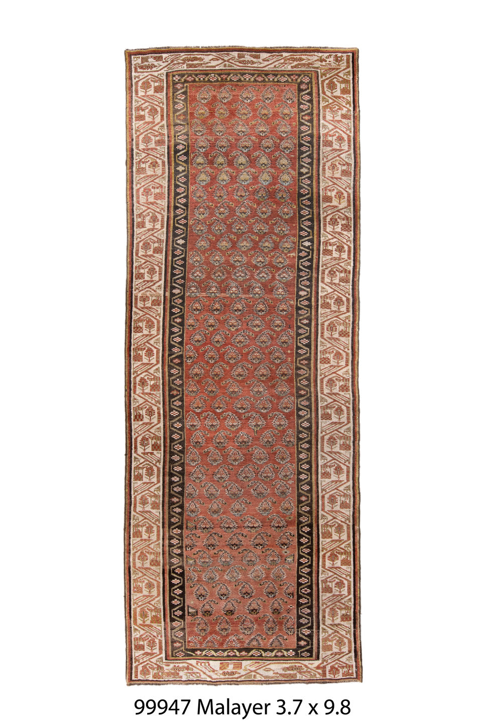 099947 Rug