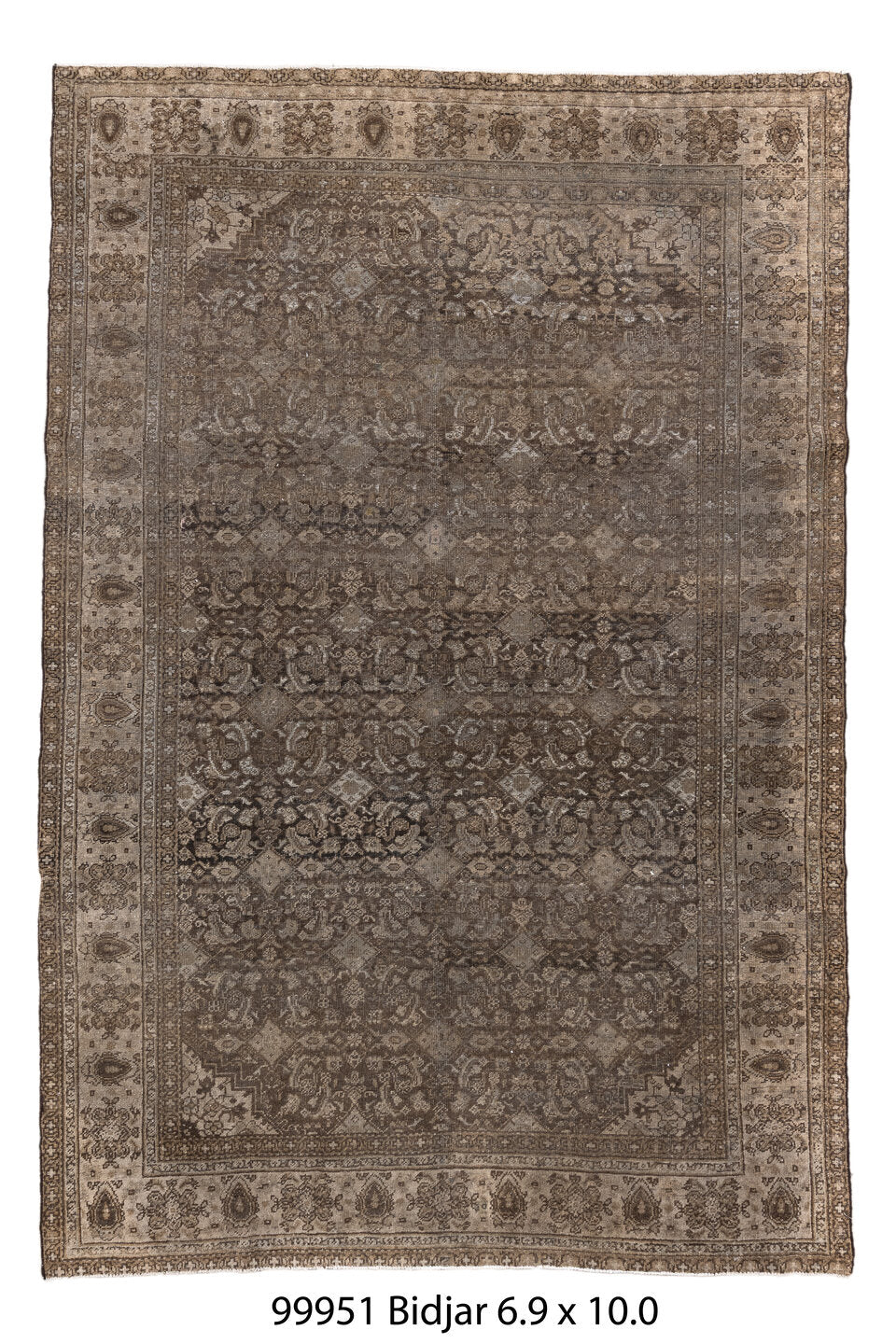 099951 Rug