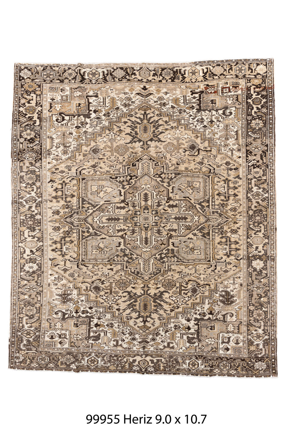 099955 Rug