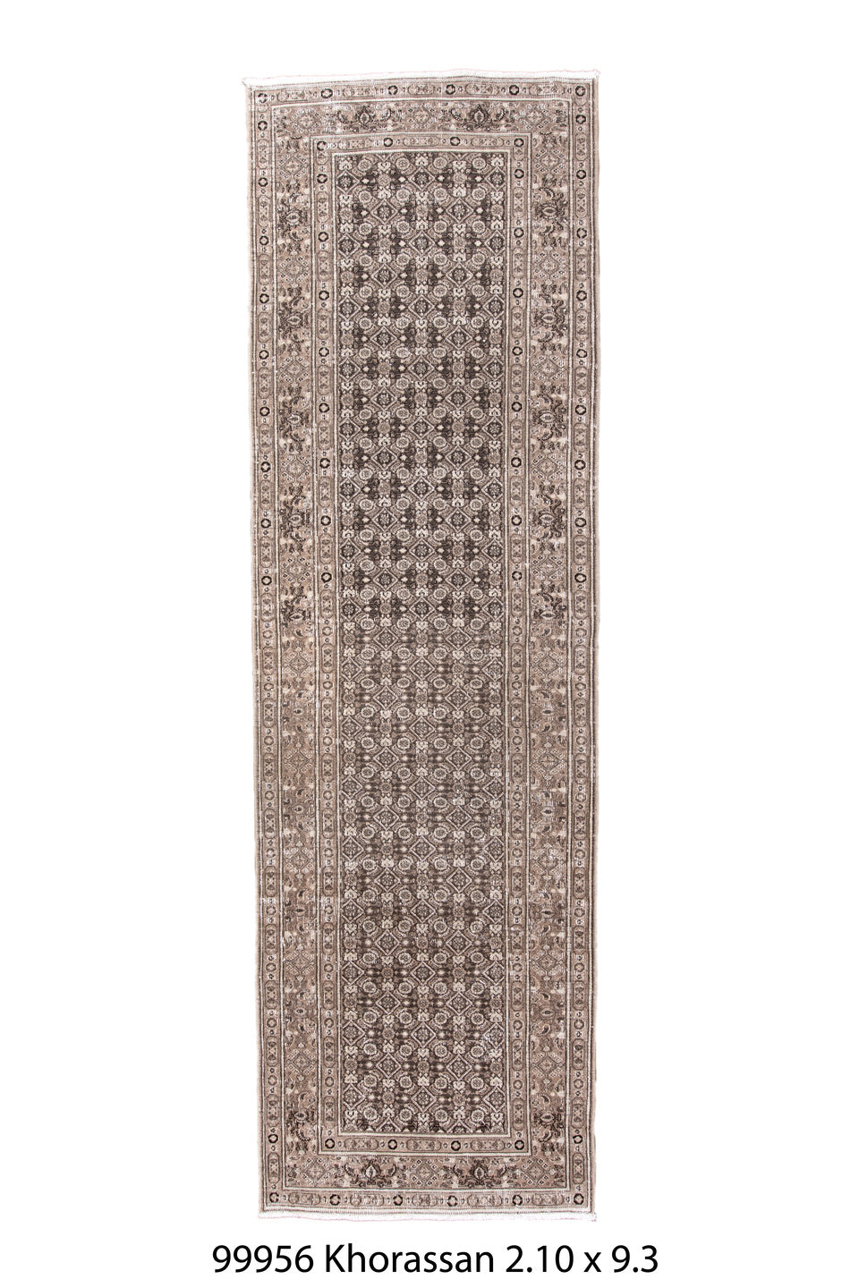 099956 Rug