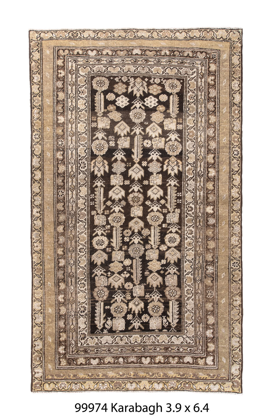 099974 Rug