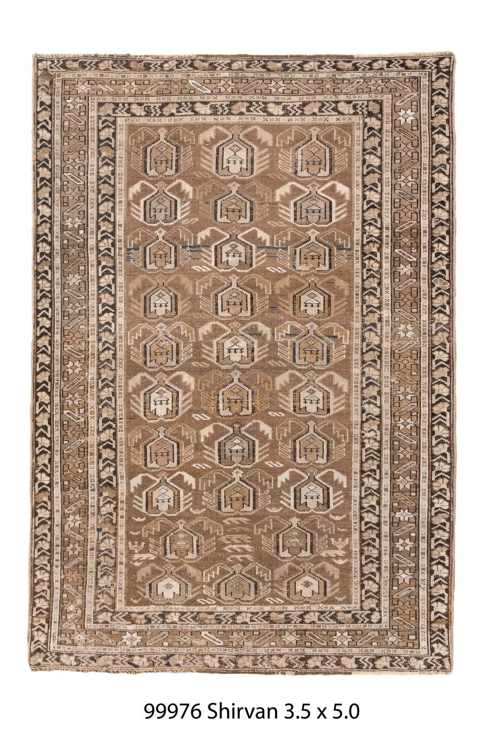 099976 Rug