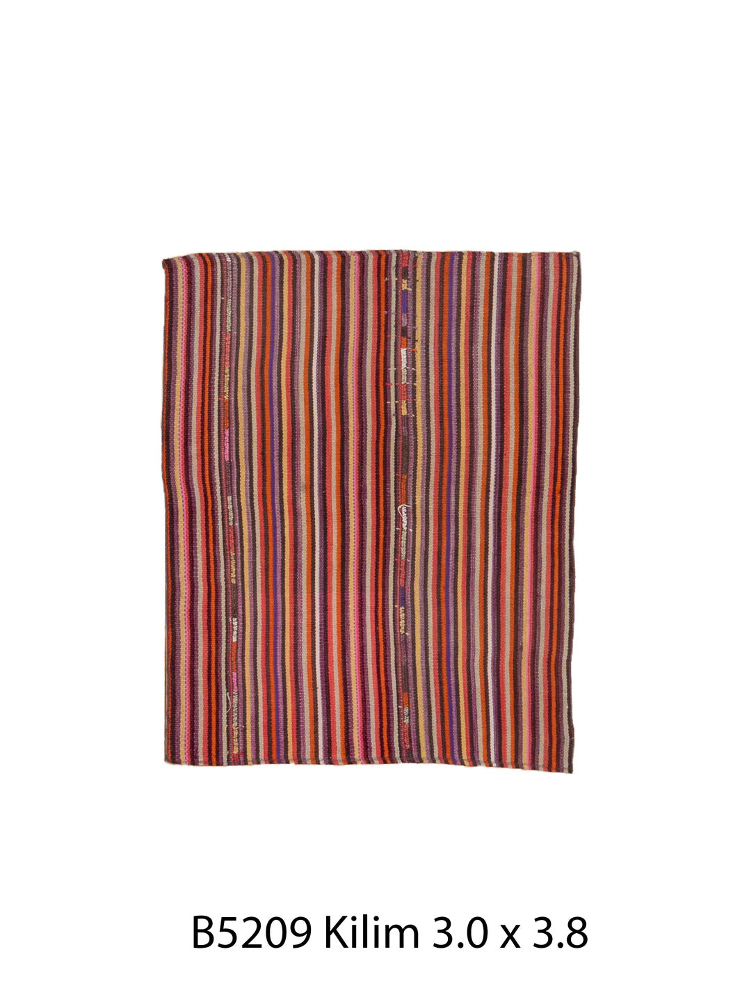 B05209 Rug