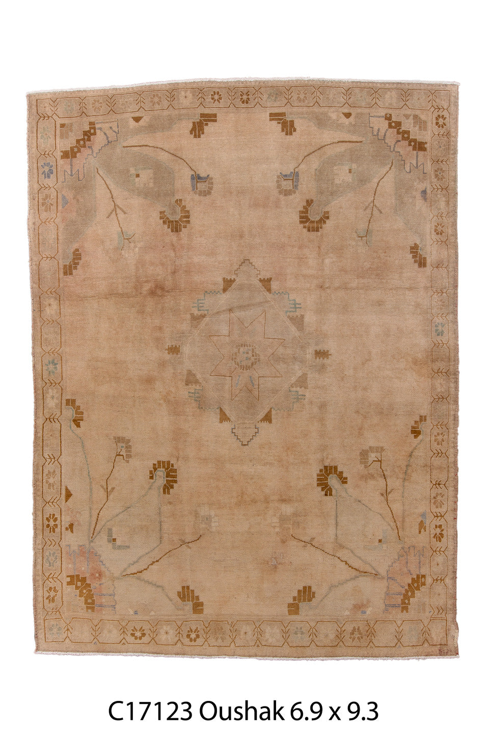 C17123 Rug