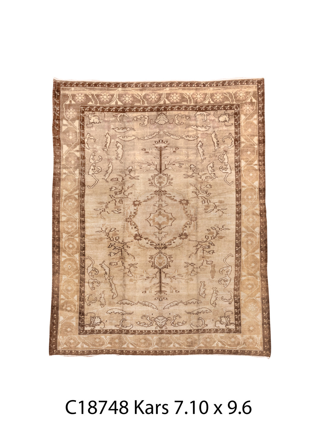 C18748 Rug