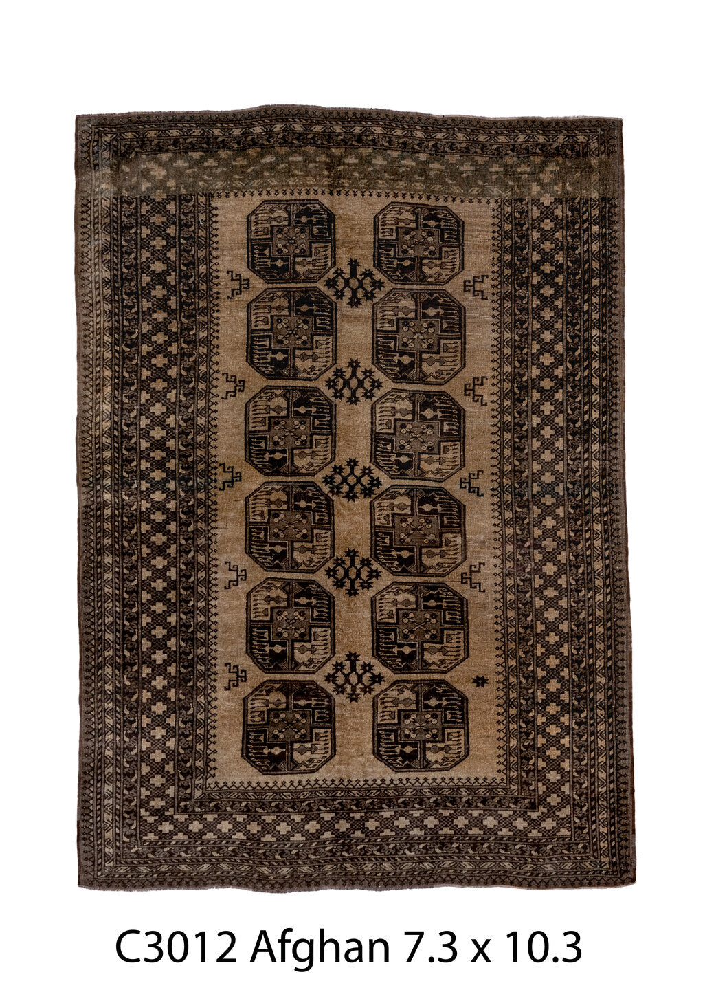 C03012 Rug