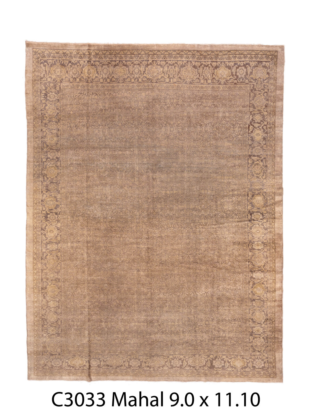 C03033 Rug