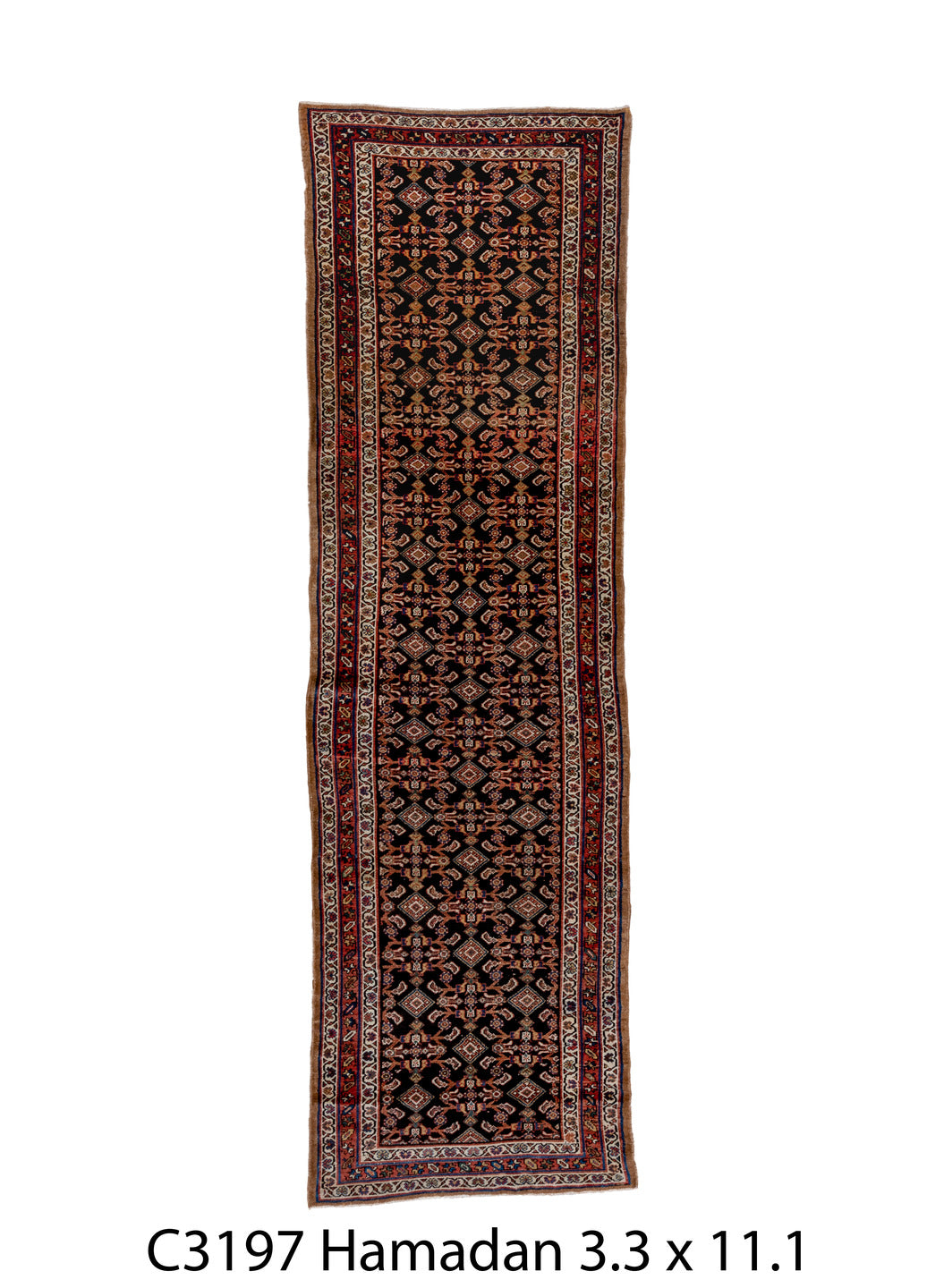 C03197 Rug