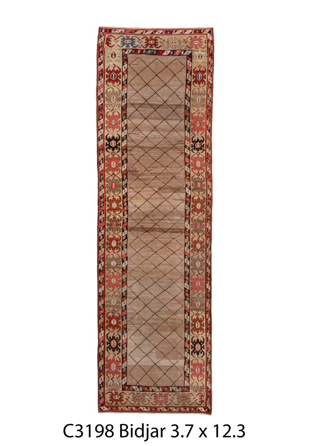 C03198 Rug