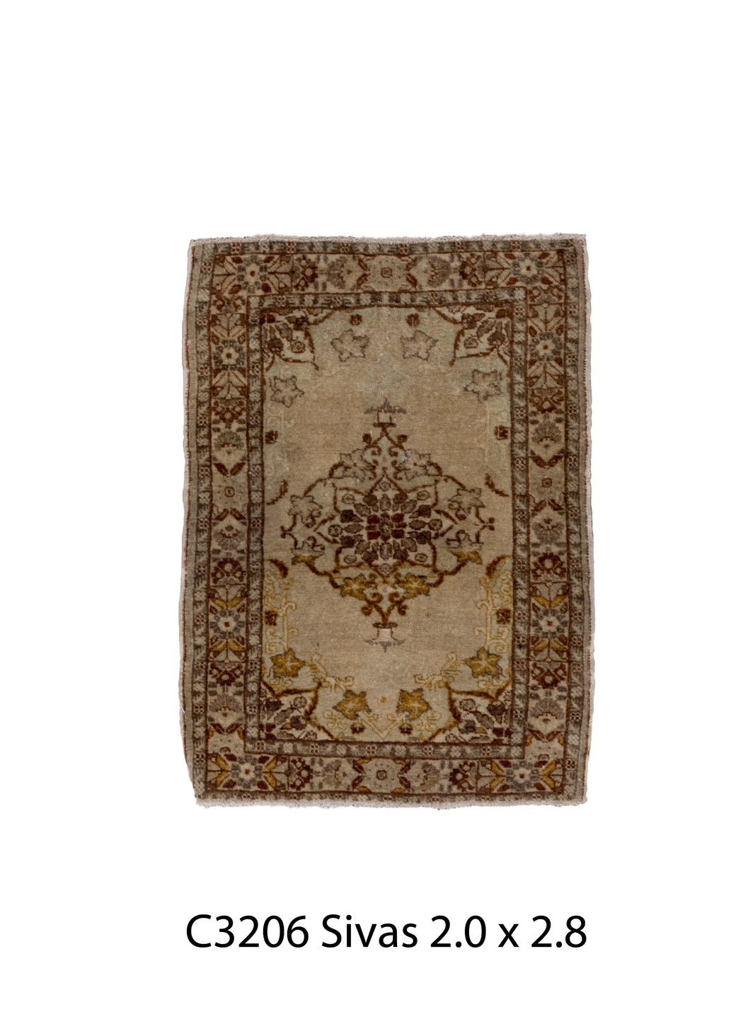C03206 Rug