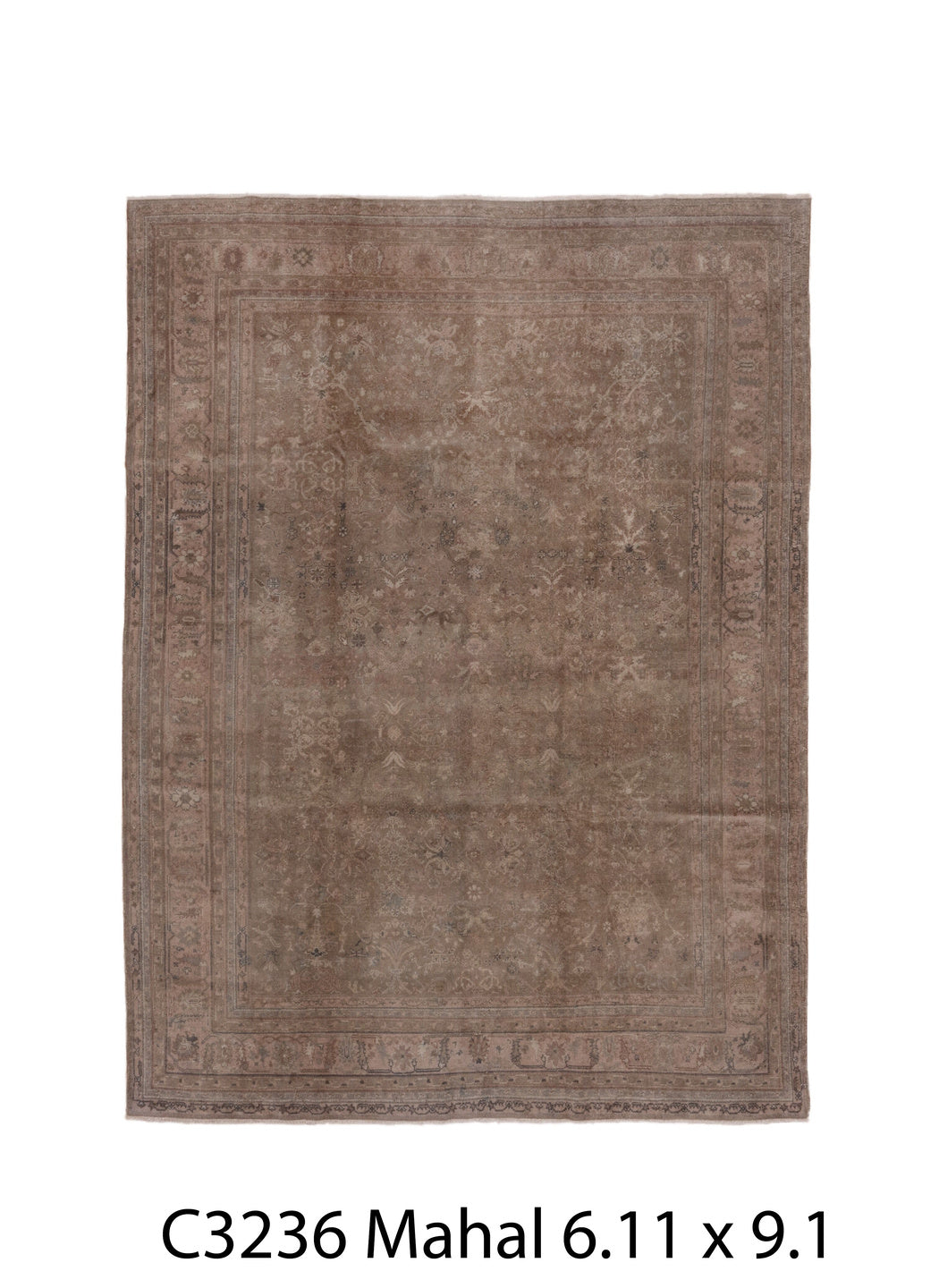 C03236 Rug