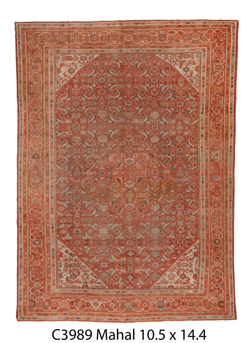 C03989 Rug