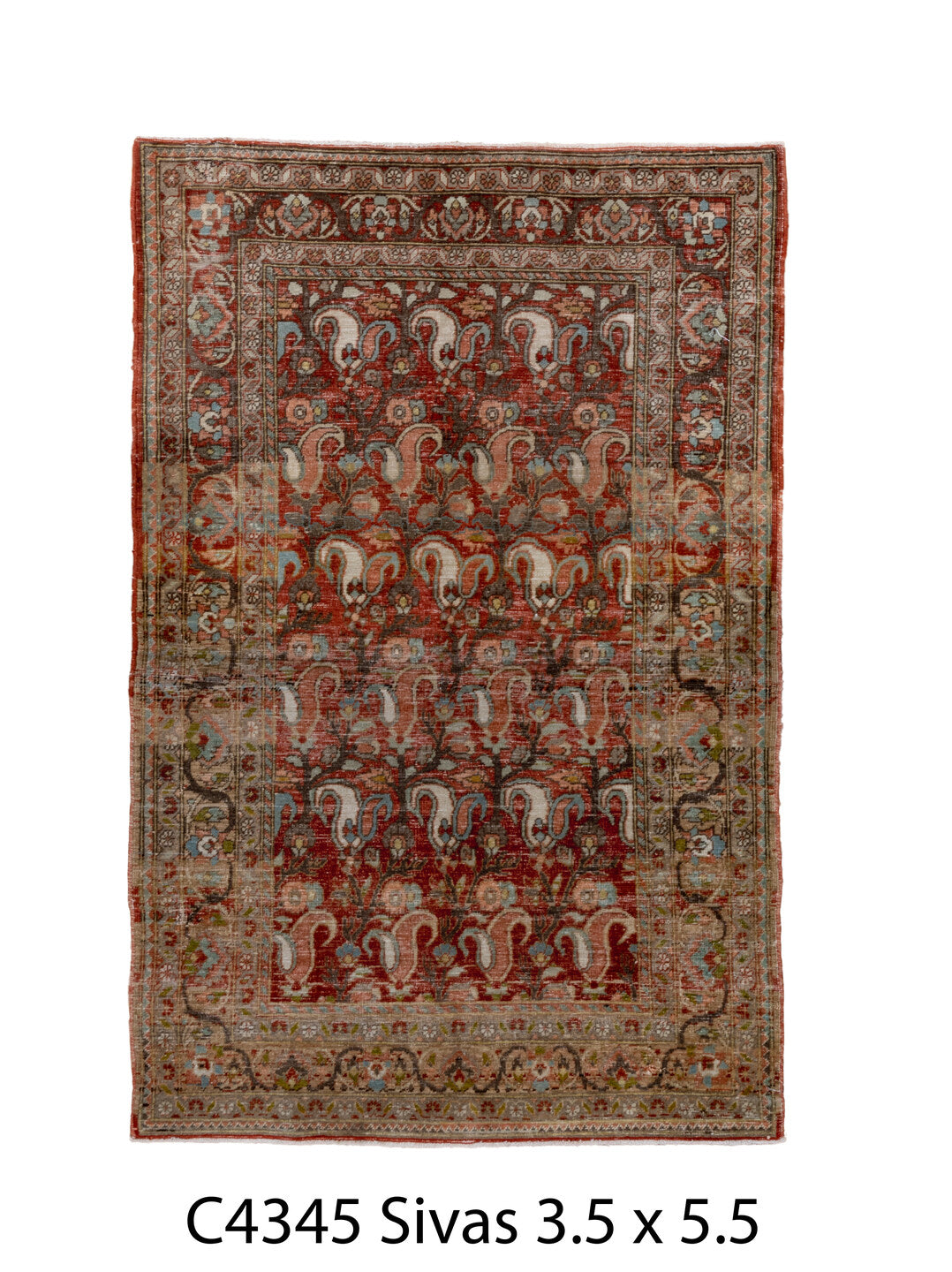 C04345 Rug