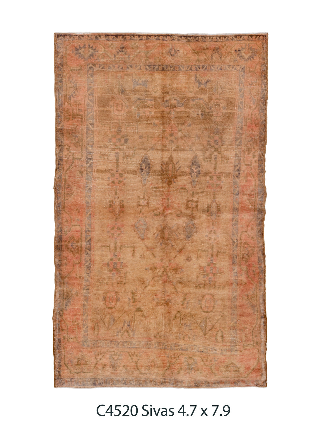 C04520 Rug