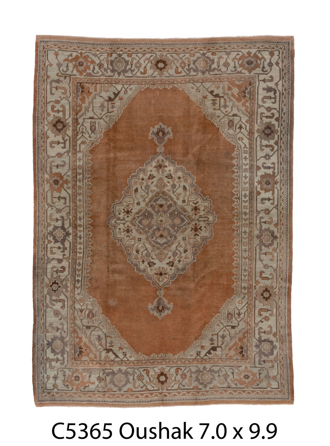 C05365 Rug