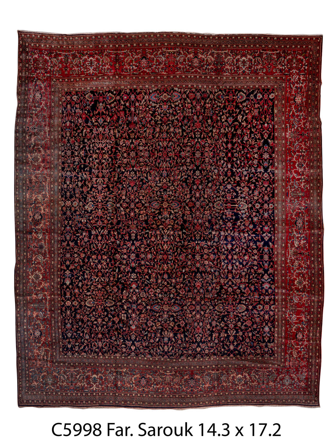 C05998 Rug