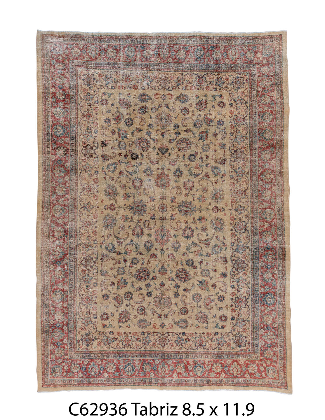 C62936 Rug