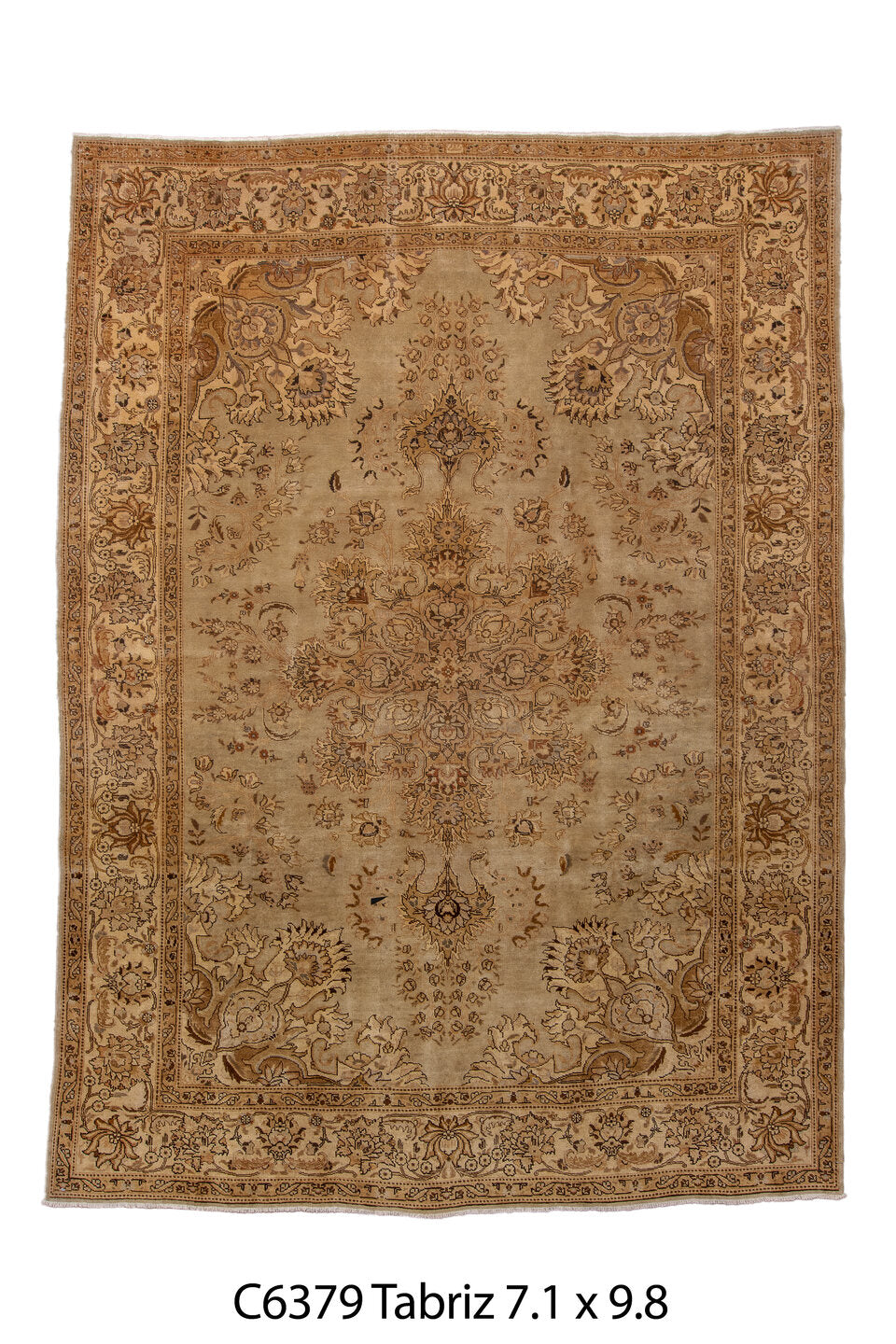 C06379 Rug