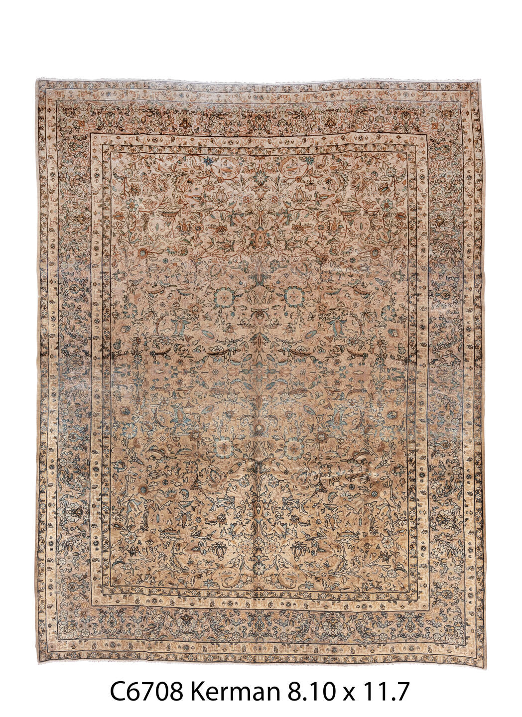 C06708 Rug