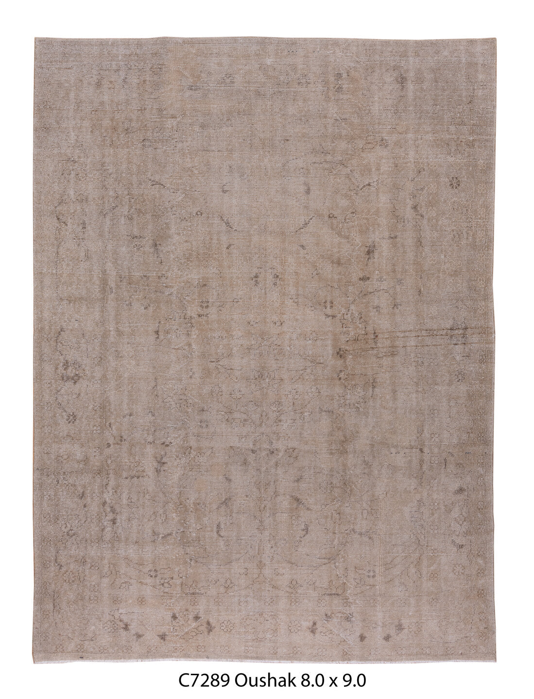 C07289 Rug