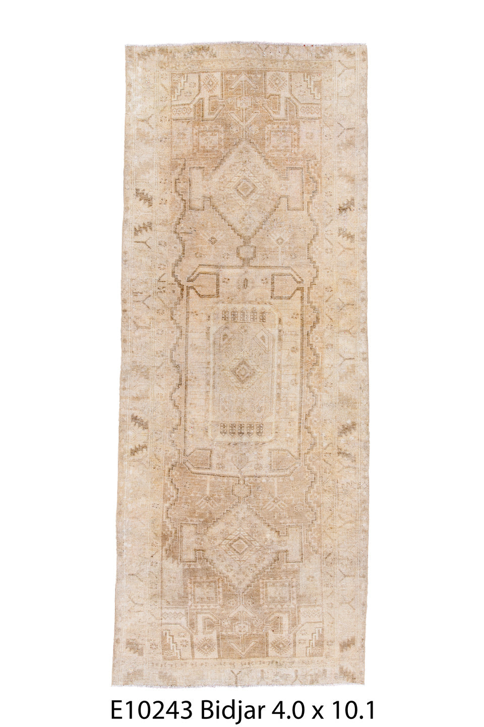 E10243 Rug