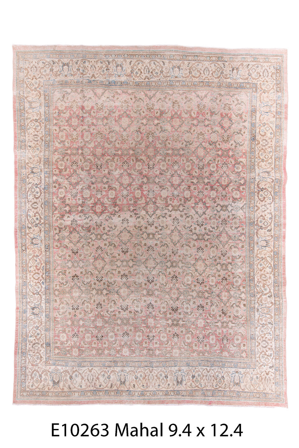 E10263 Rug