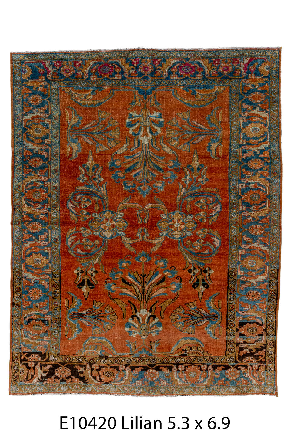 E10420 Rug