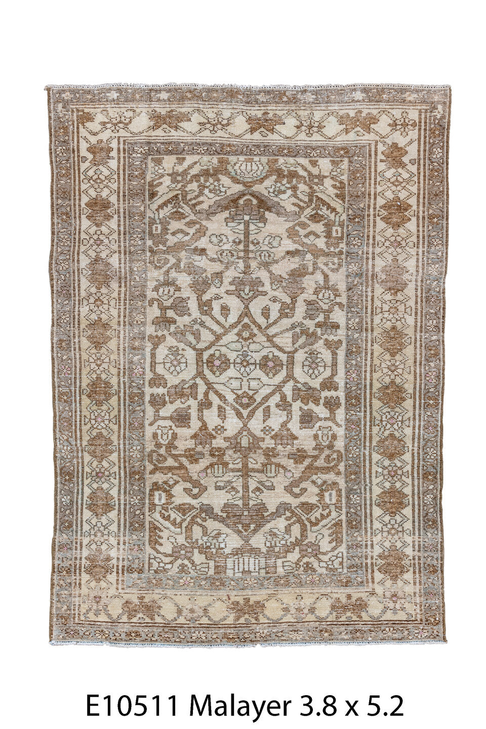 E10511 Rug