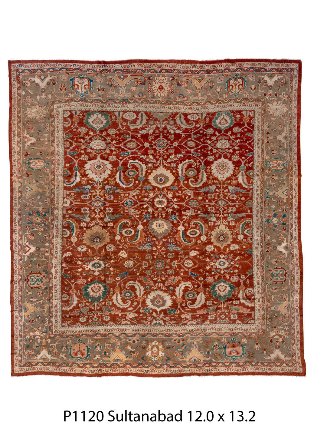 P01120 Rug