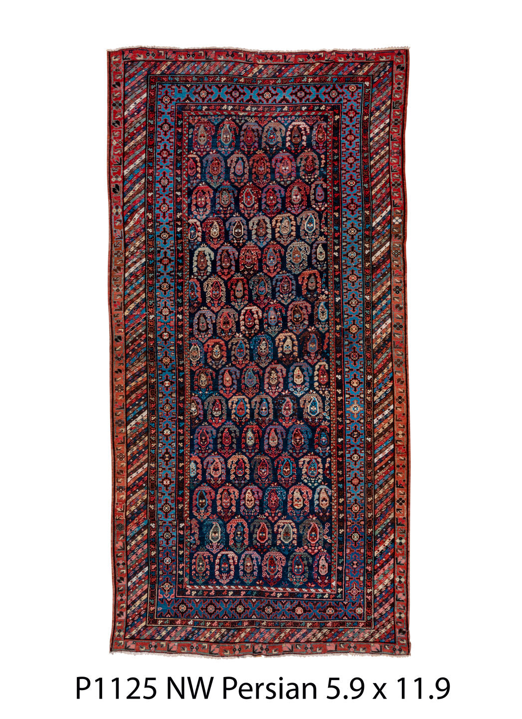 P01125 Rug